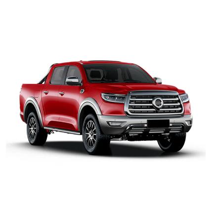 GWM P Series