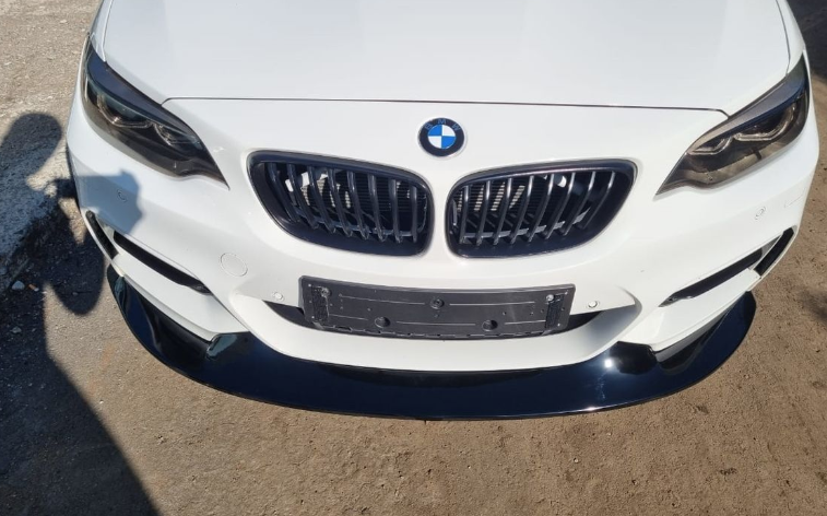 BMW F22 GTS Front Spoiler